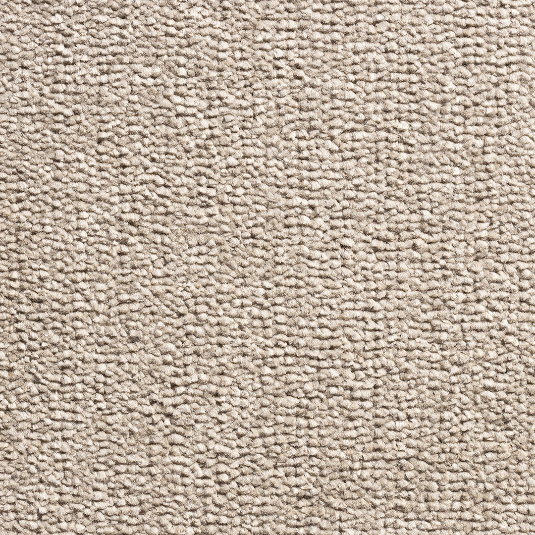 Revolution Supreme Carpet
