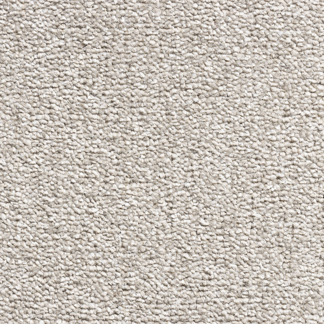Revolution Supreme Carpet