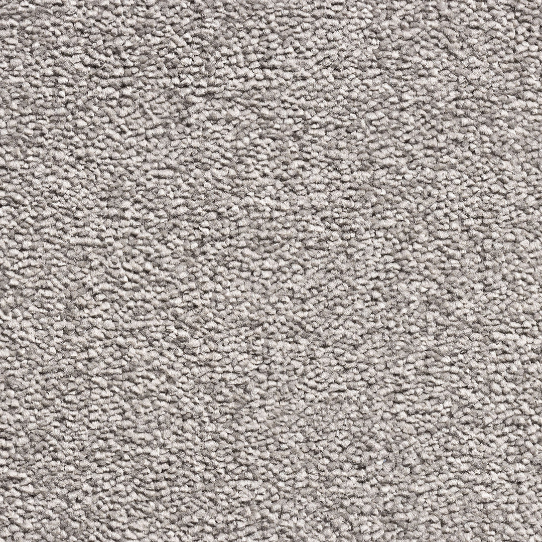 Revolution Supreme Carpet