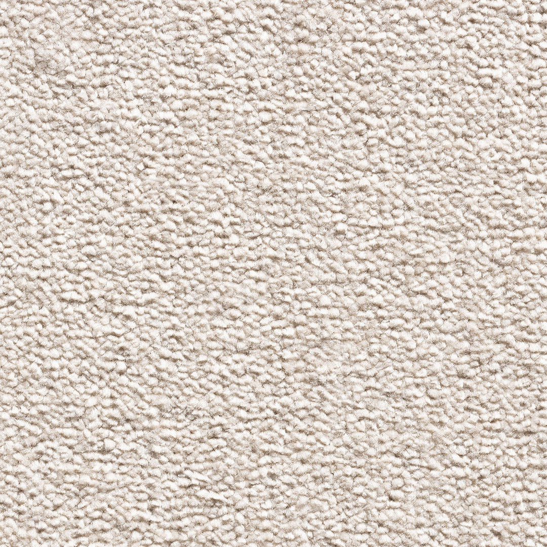 Revolution Supreme Carpet