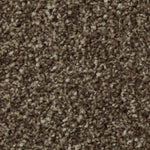 Load image into Gallery viewer, Apollo Plus Ab Carpet
