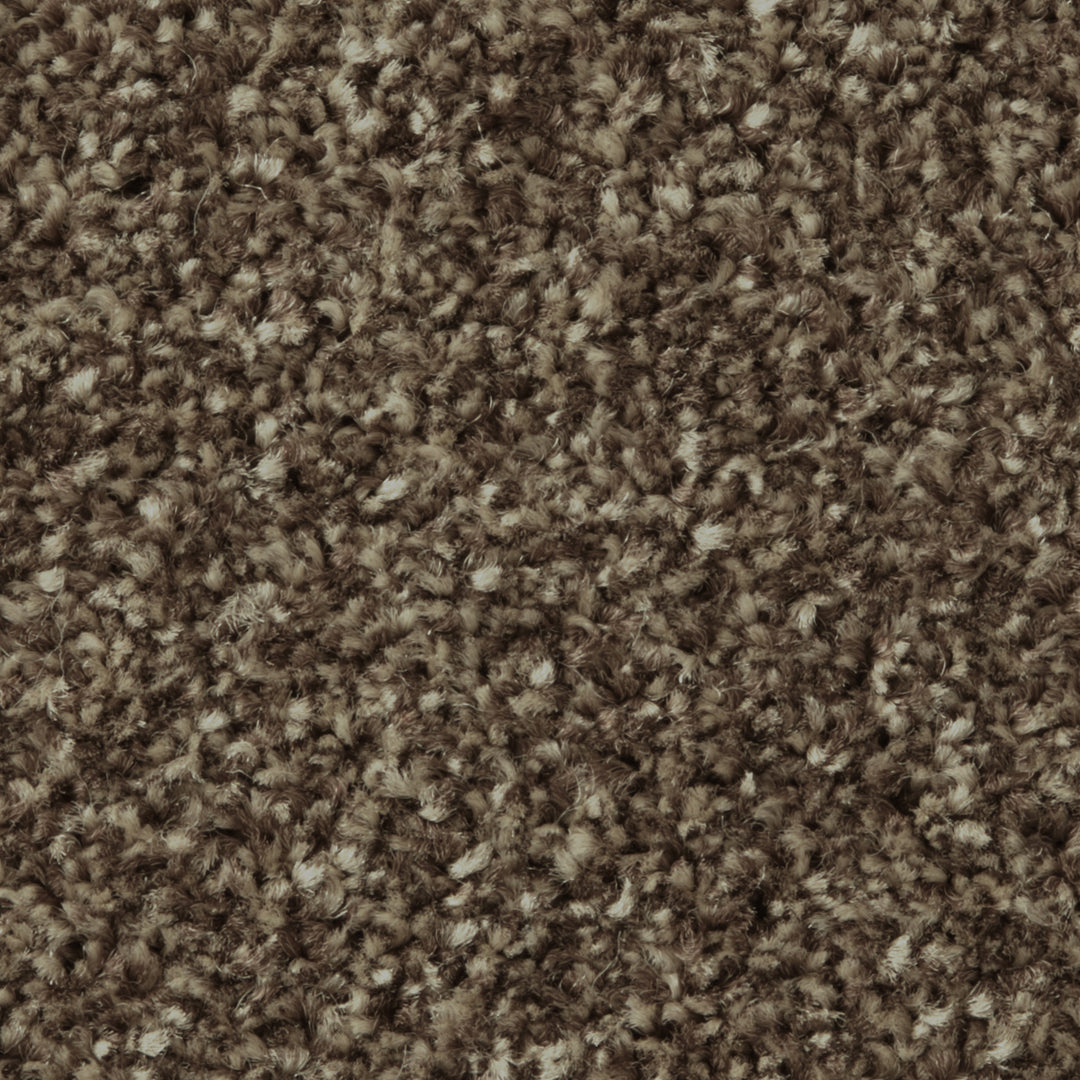 Apollo Plus Ab Carpet
