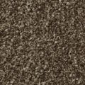 Apollo Plus Ab Carpet