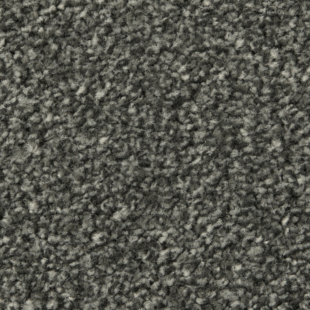 Apollo Plus Ab Carpet