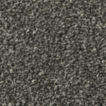 Load image into Gallery viewer, Apollo Plus Ab Carpet
