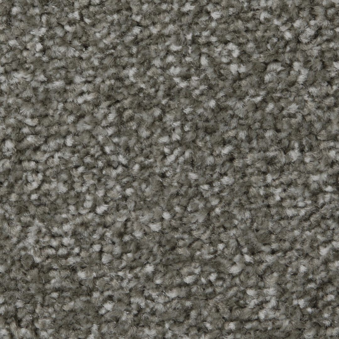 Apollo Plus Ab Carpet