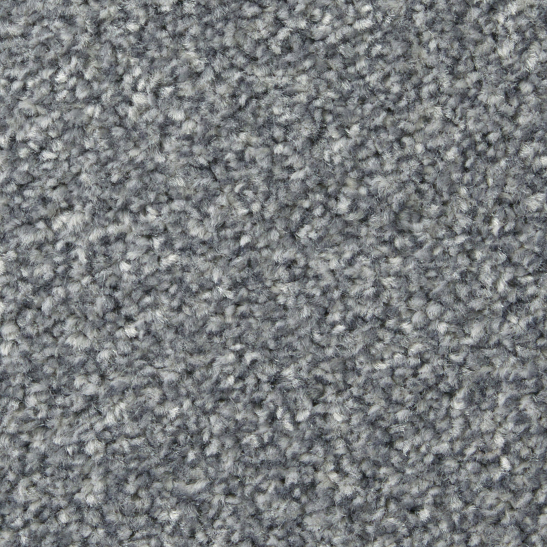Apollo Plus Ab Carpet
