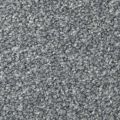 Apollo Plus Ab Carpet