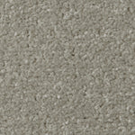 Load image into Gallery viewer, Apollo Plus Ab Carpet