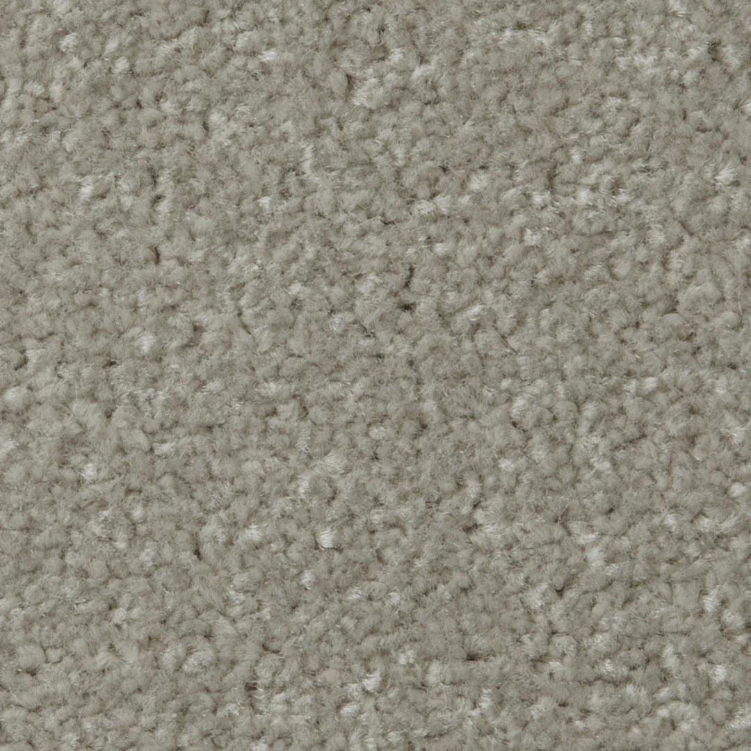 Apollo Plus Ab Carpet