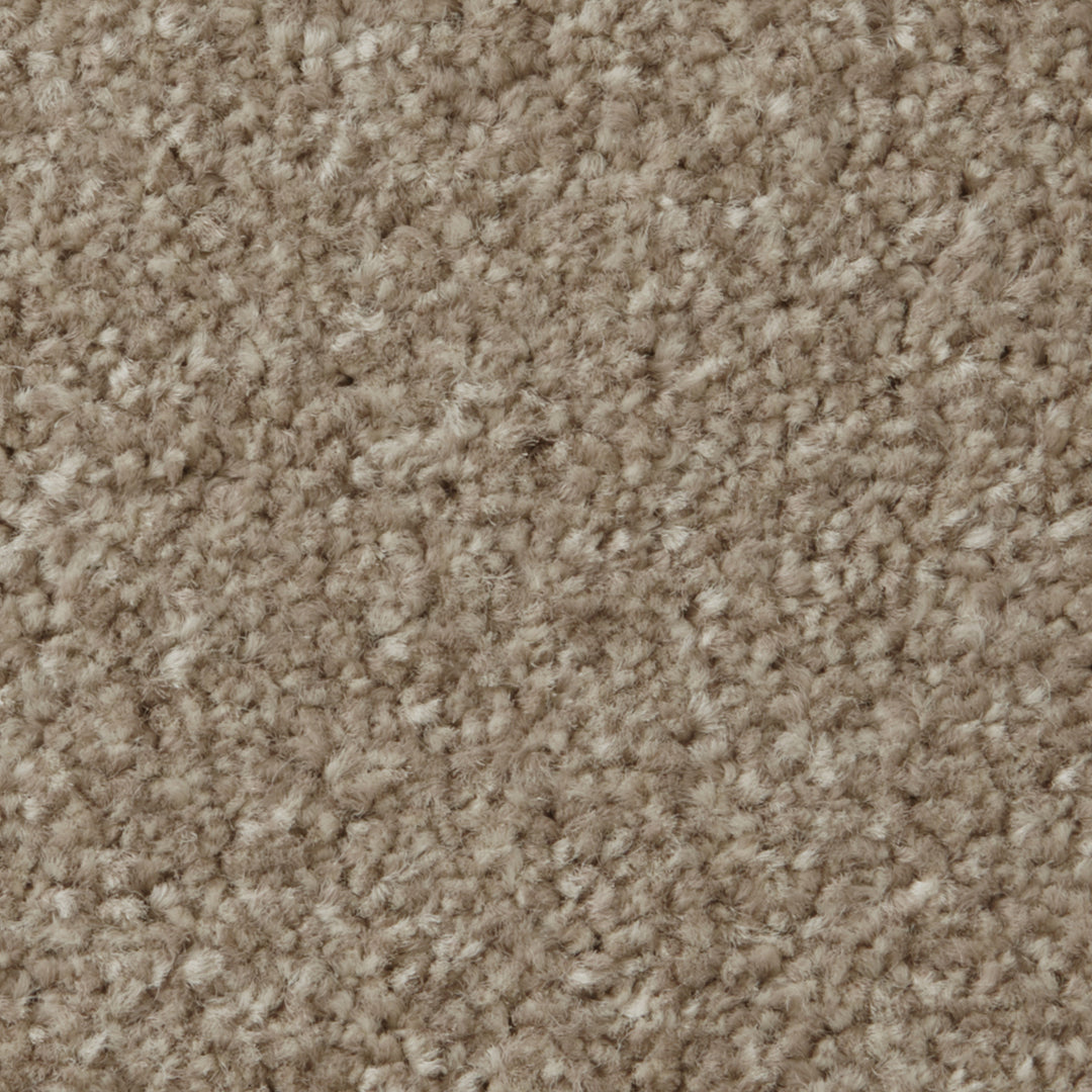 Apollo Plus Ab Carpet