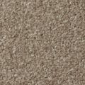 Apollo Plus Ab Carpet