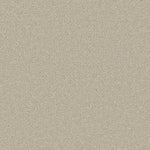 Load image into Gallery viewer, Apollo Plus Ab Carpet