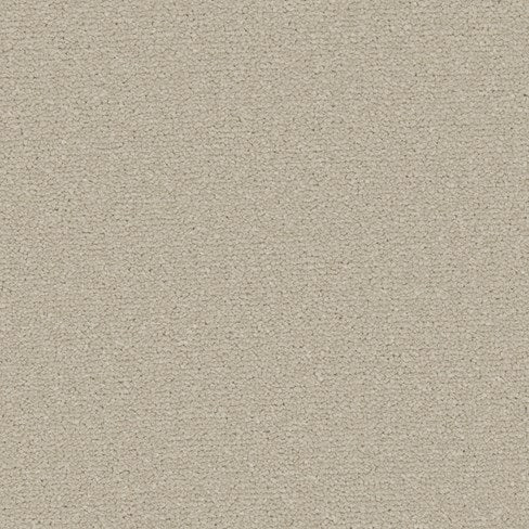 Apollo Plus Ab Carpet
