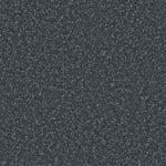 Load image into Gallery viewer, Apollo Plus Ab Carpet