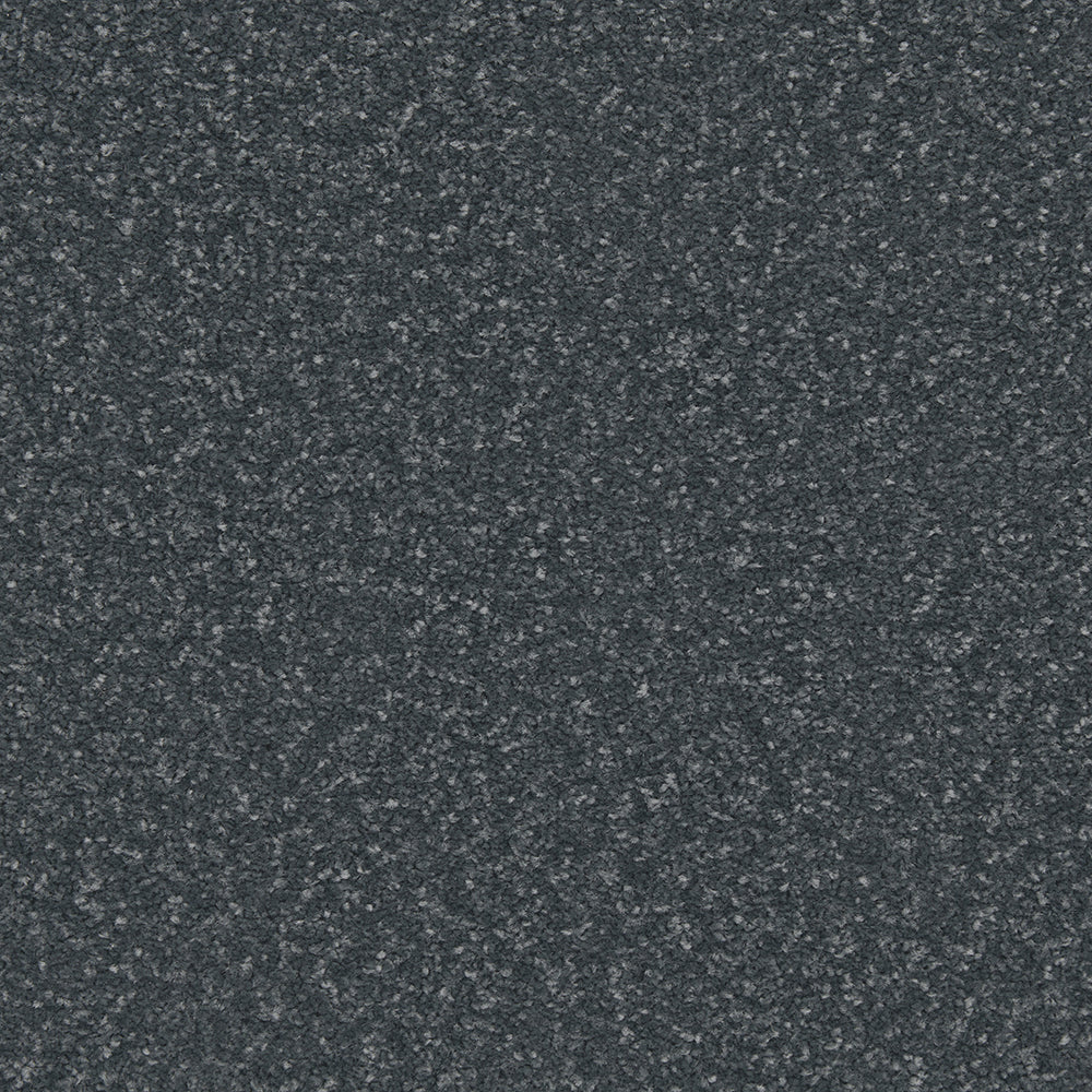Apollo Plus Ab Carpet