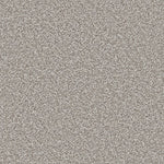Load image into Gallery viewer, Apollo Plus Ab Carpet