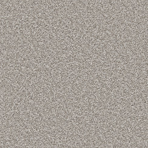 Apollo Plus Ab Carpet