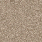 Load image into Gallery viewer, Primo Ultra Ab Carpet