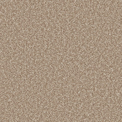 Primo Ultra Ab Carpet