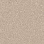 Load image into Gallery viewer, Primo Ultra Ab Carpet
