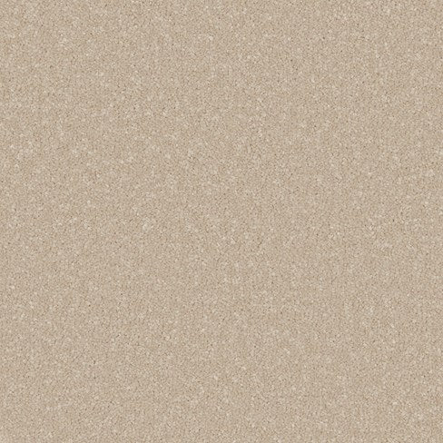 Primo Ultra Ab Carpet