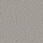 Load image into Gallery viewer, Primo Ultra Ab Carpet
