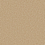 Load image into Gallery viewer, Primo Ultra Ab Carpet