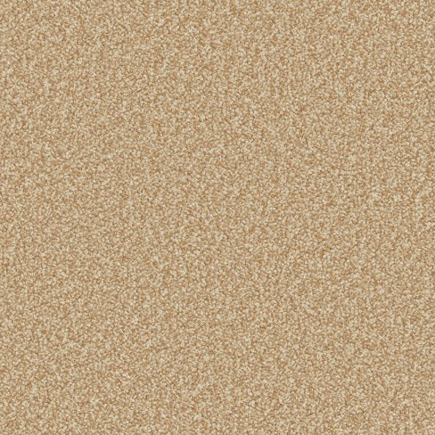 Primo Ultra Ab Carpet