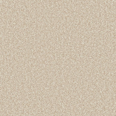Primo Ultra Ab Carpet