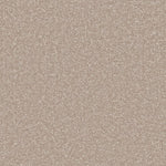 Load image into Gallery viewer, Primo Ultra Ab Carpet