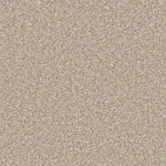 Load image into Gallery viewer, Primo Ultra Ab Carpet