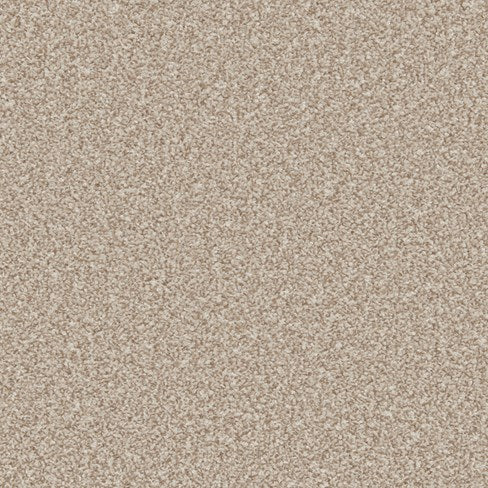 Primo Ultra Ab Carpet