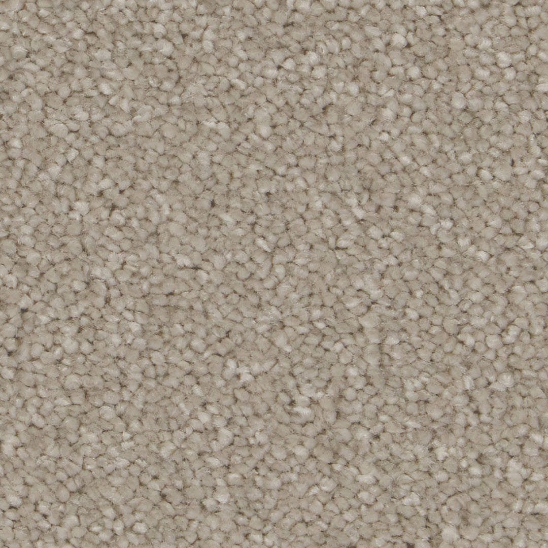 Sensation Original Ab Carpet