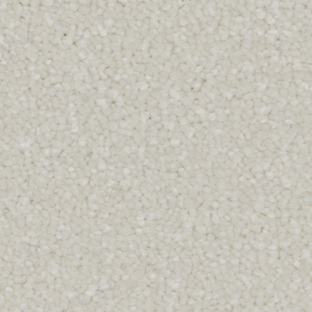 Sensation Original Ab Carpet