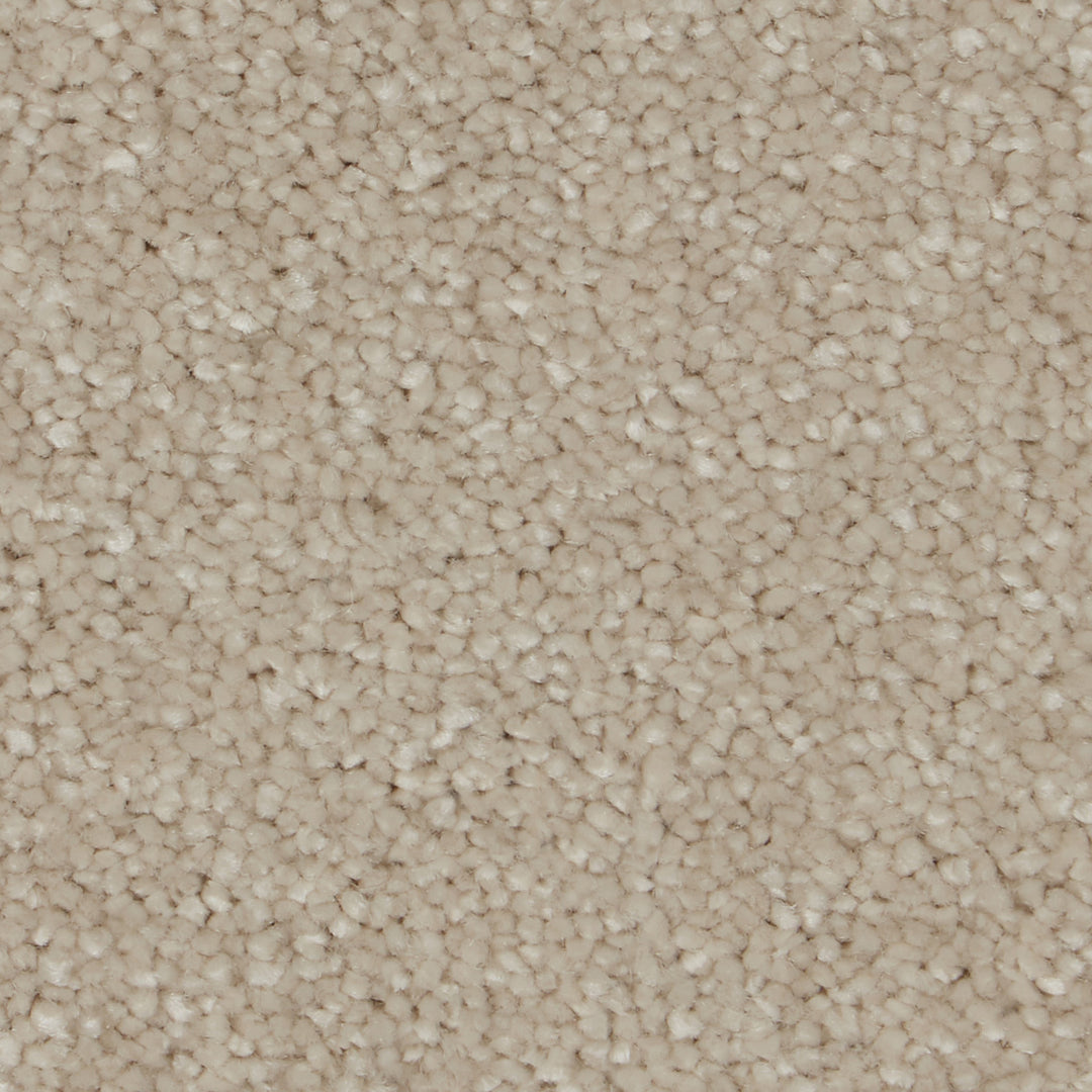 Sensation Original Ab Carpet