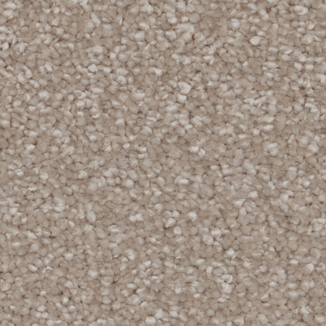 Sensation Original Ab Carpet