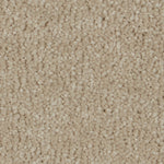 Load image into Gallery viewer, Sensation Original Ab Carpet