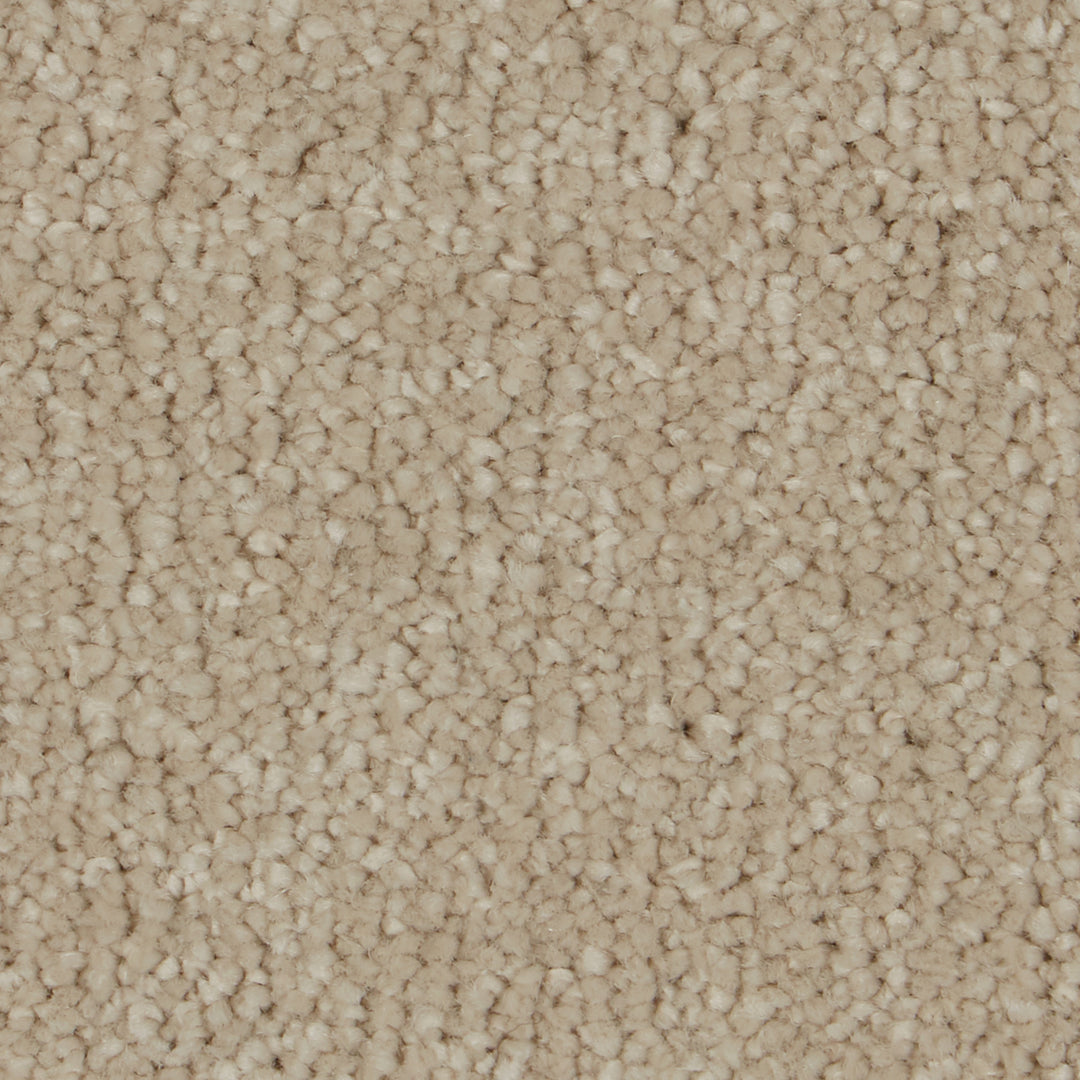 Sensation Original Ab Carpet