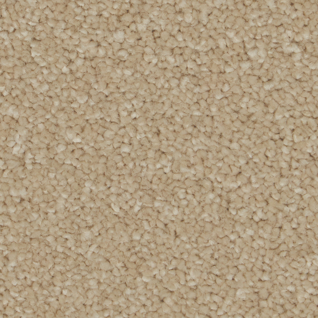 Sensation Original Ab Carpet