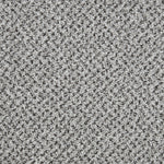 Load image into Gallery viewer, Primo Tweeds Carpet