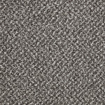 Load image into Gallery viewer, Primo Tweeds Carpet