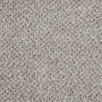 Load image into Gallery viewer, Primo Tweeds Carpet