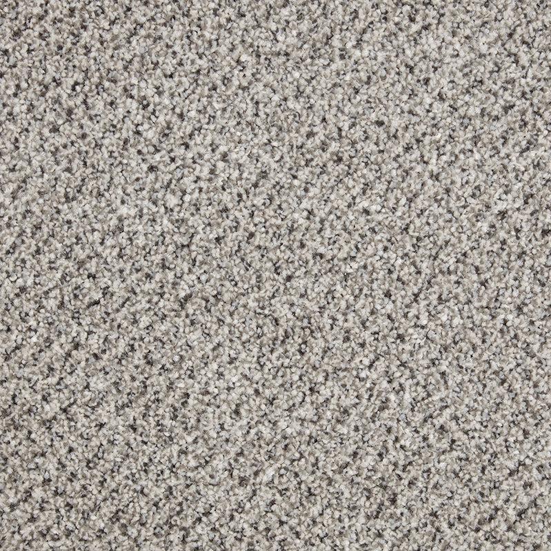 Primo Tweeds Carpet