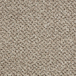 Load image into Gallery viewer, Primo Tweeds Carpet