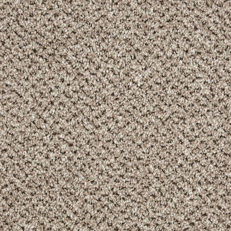 Primo Tweeds Carpet