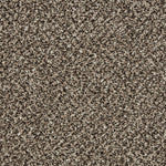 Load image into Gallery viewer, Primo Tweeds Carpet