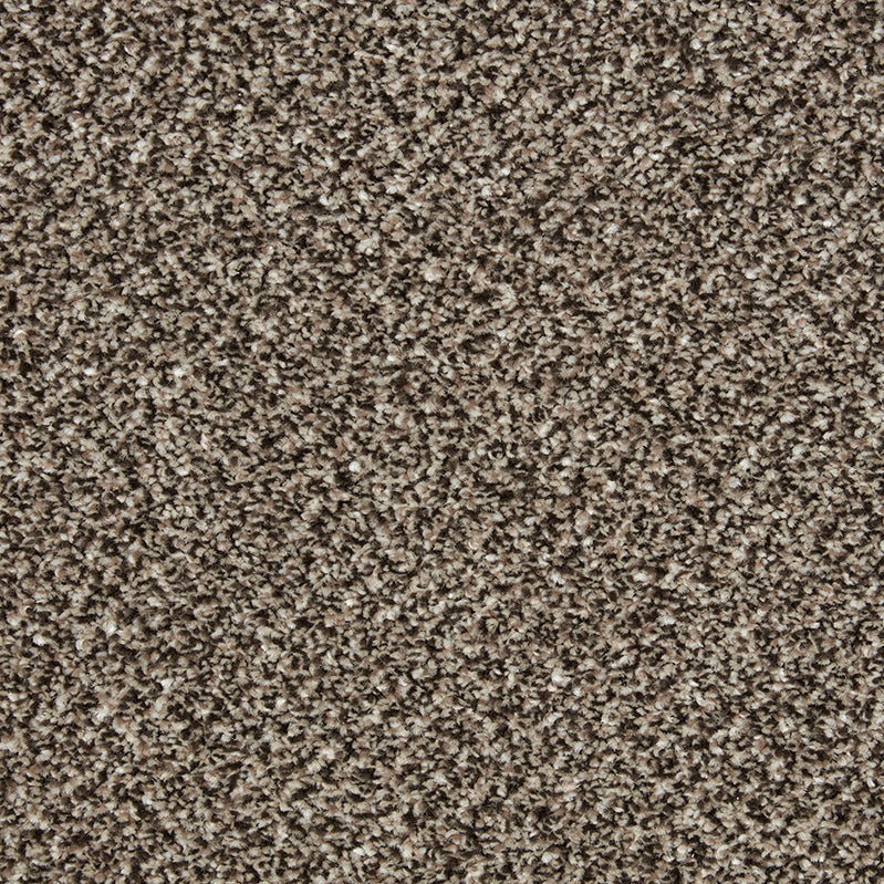 Primo Tweeds Carpet