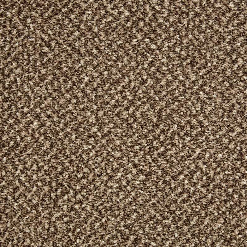 Primo Tweeds Carpet