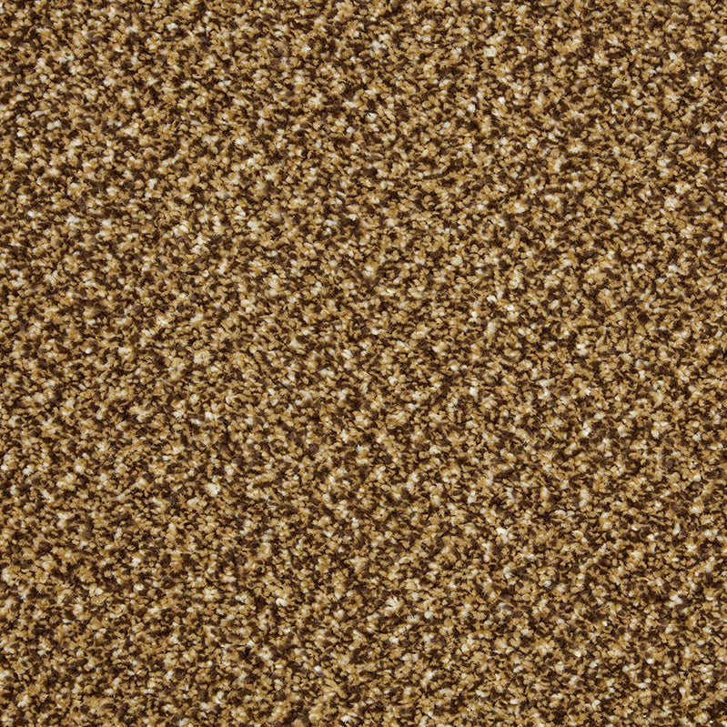 Primo Tweeds Carpet